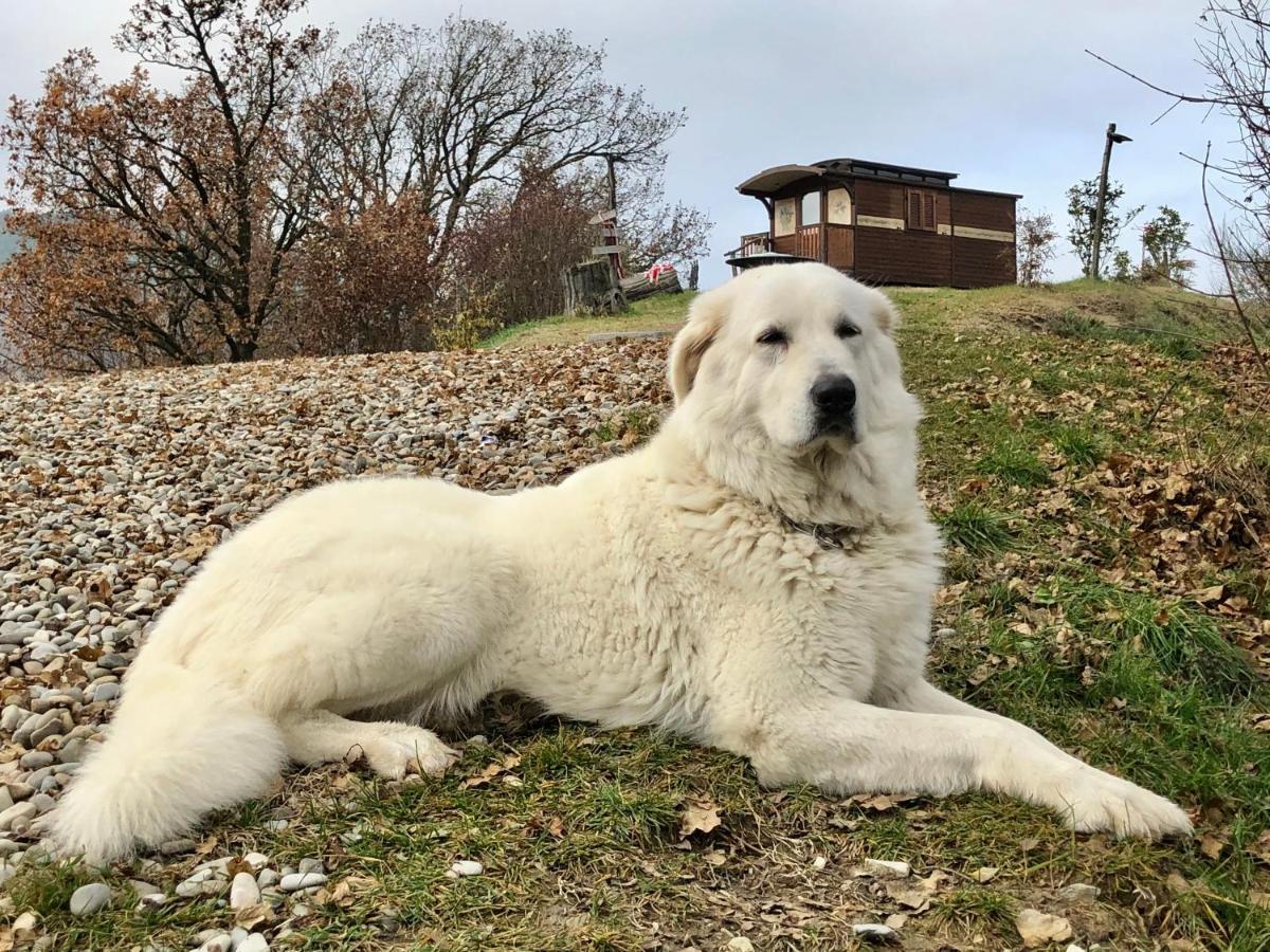 La Locanda Nel Vento Calestano Екстериор снимка