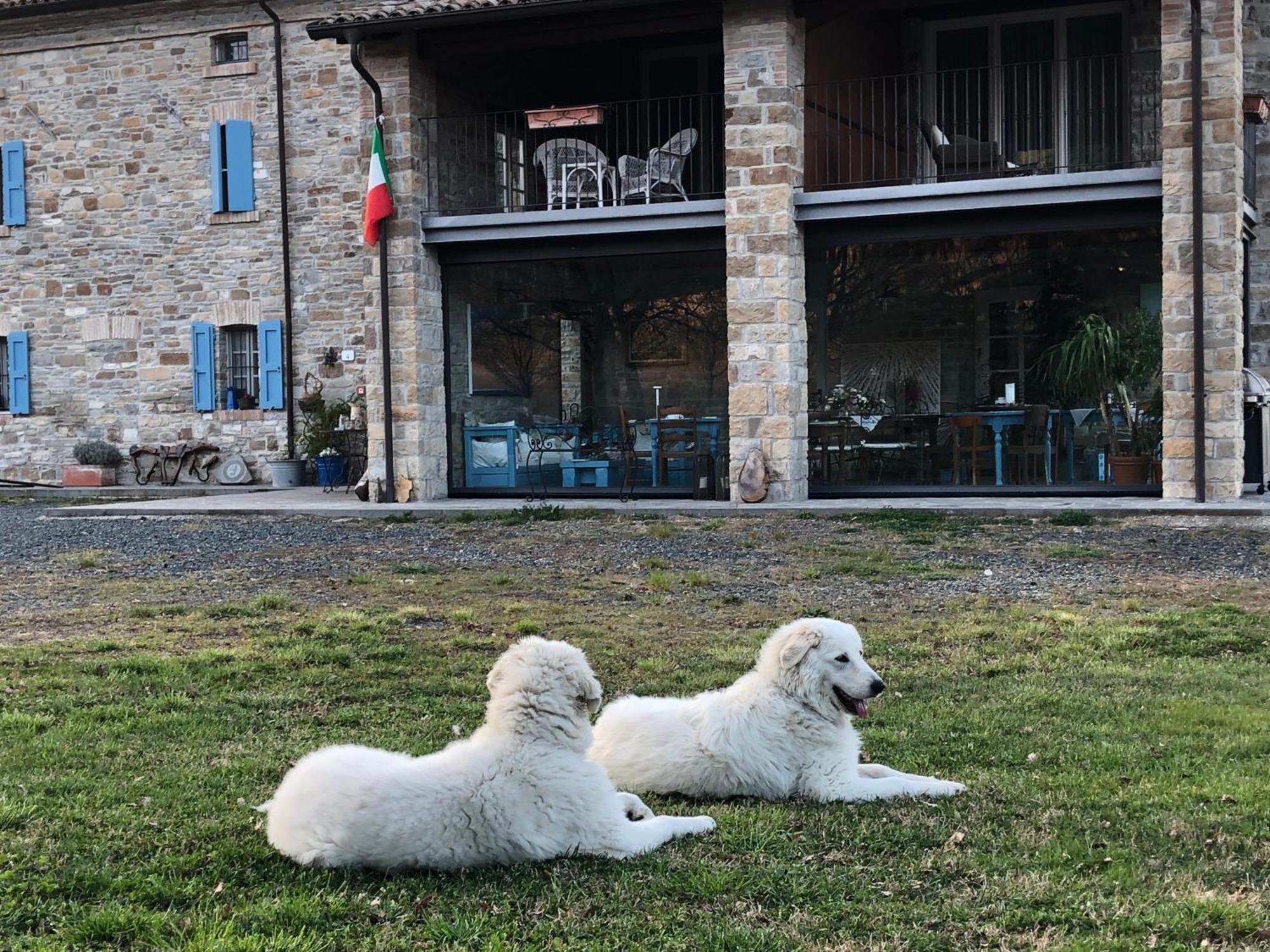 La Locanda Nel Vento Calestano Екстериор снимка